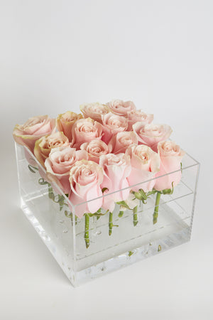 Acrylic box square 16 Roses