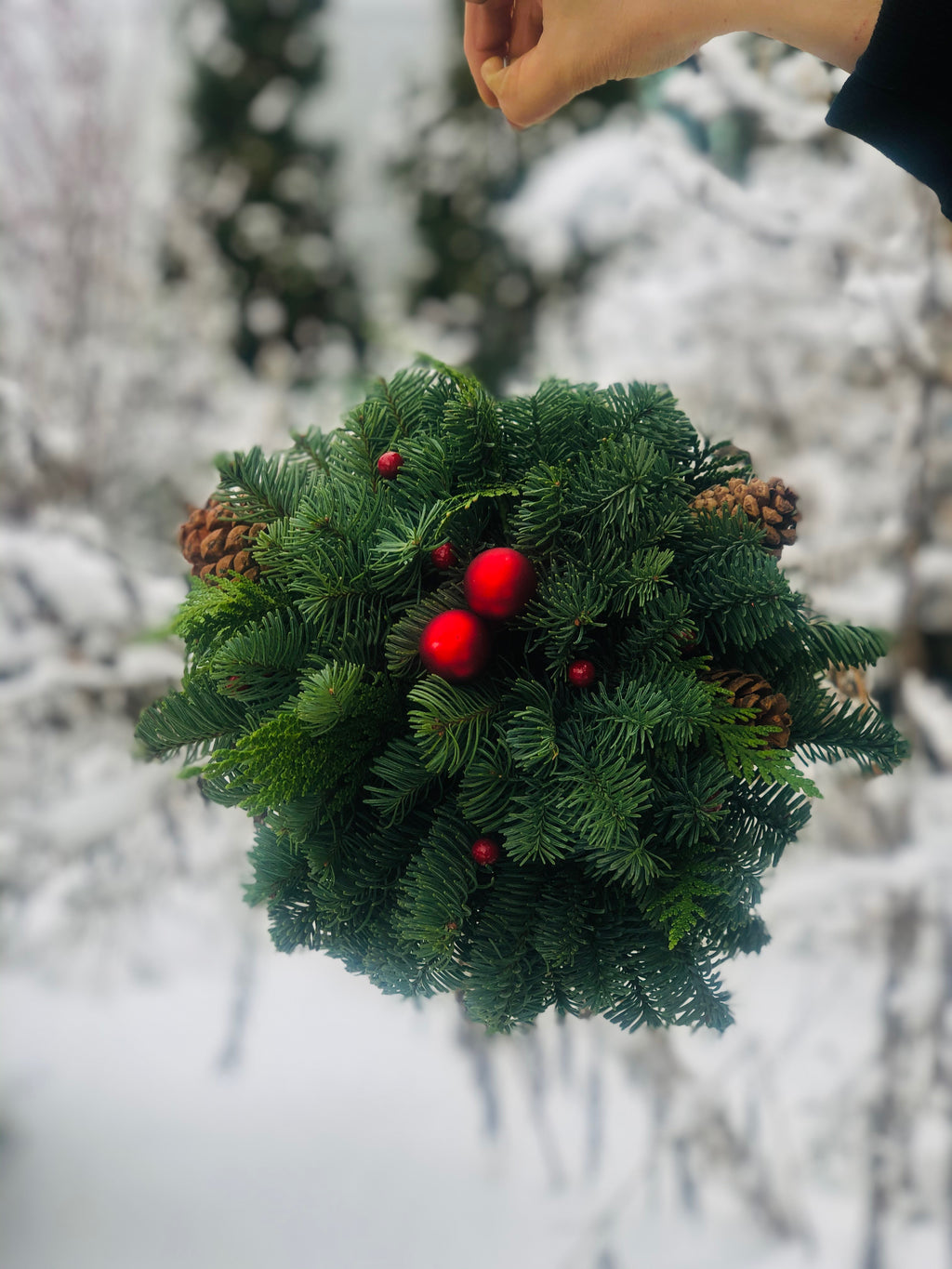 Mistletoe (kissing ball)