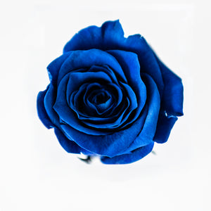 Acrylic box with single Rose
