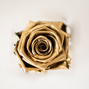 Acrylic box with single Rose