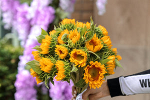 Bouquet of Golden Sunflowers
