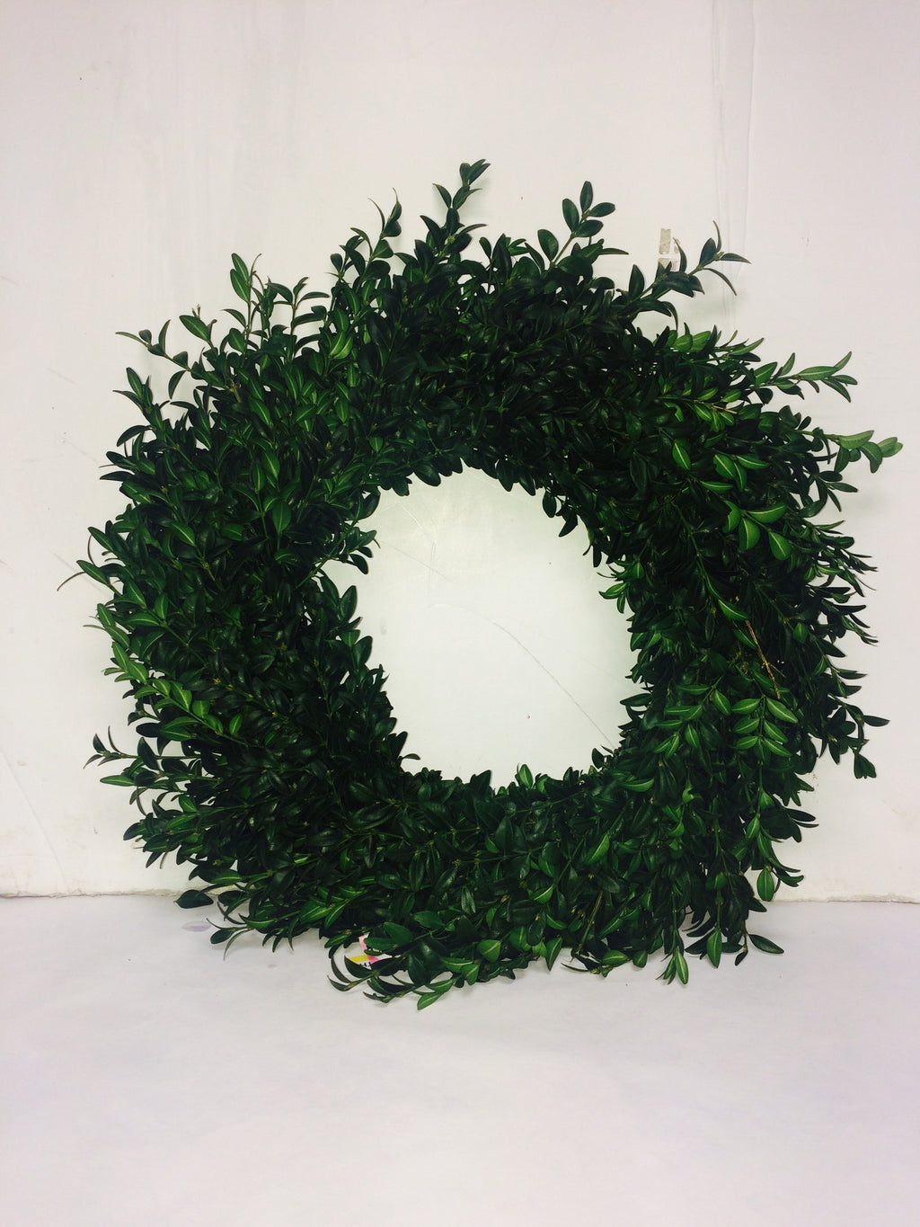 12"/20" Green Boxwood Wreath