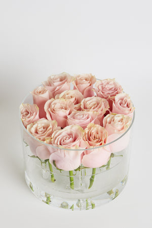 Acrylic Box with premium Roses
