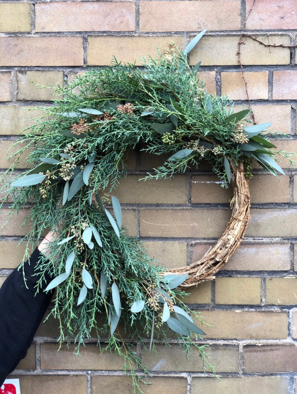 Disaner Wreath Eucalyptus  22”